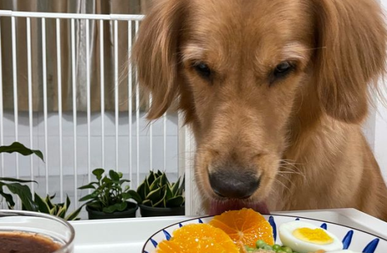 ��ëιʣ����ô���ó�