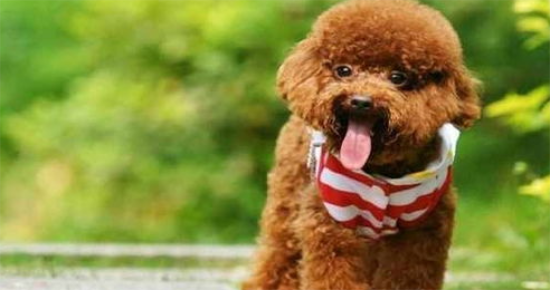 ���Ȯ�������ô����