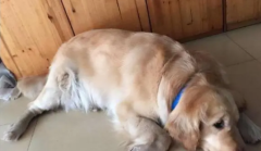 ��ë������ô���㱥�ˣ�