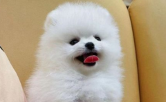 ������·��Ⱦ�Լ������