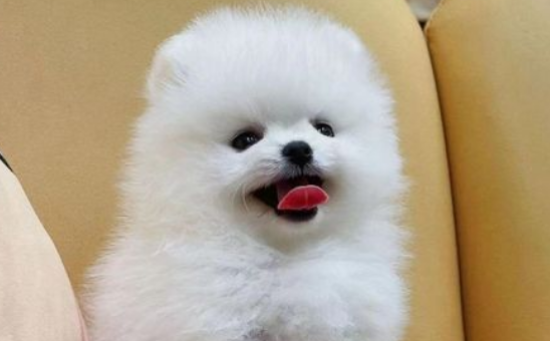 ������·��Ⱦ�Լ������