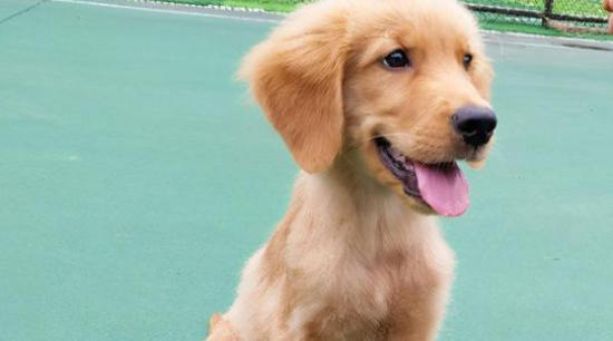 ��ë����ƫ����ô������