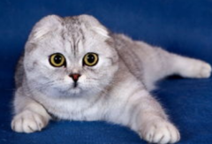 è�䵽�¼Һ�����Ӧ����Ӧ��?