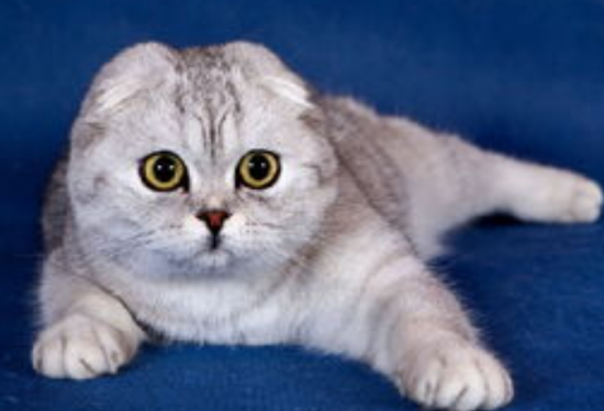 è�䵽�¼Һ�����Ӧ����Ӧ��?