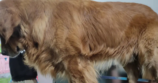 ��ë��ë������