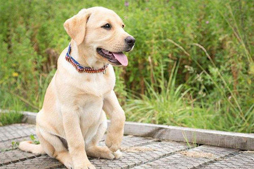 ������������ע������