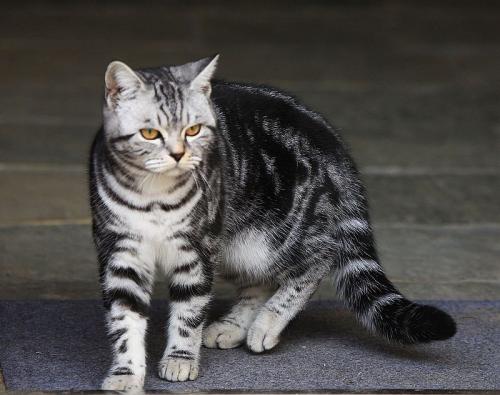 è�ʺ�����������?