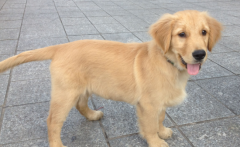 ��ô������ë��ë