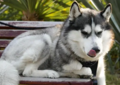 �����򲻳�������ô��