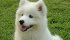 �������ĦҮ���ϲ��У���Ҫ����