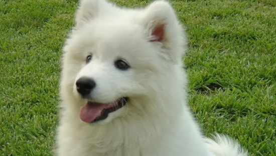 �������ĦҮ���ϲ��У���Ҫ������ѵ��