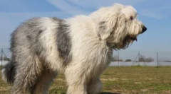 ����Ȯ��ô��Ʒ��