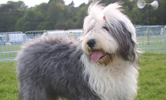 ������ô��������?