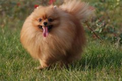 ���¹������ֵ�ԭ��