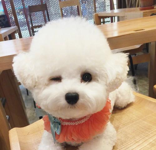 �����ĳ�������