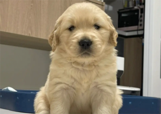 �����½�ë��ɶ���Ӱ�