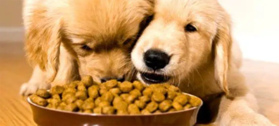 ���ë��Ȯ���������