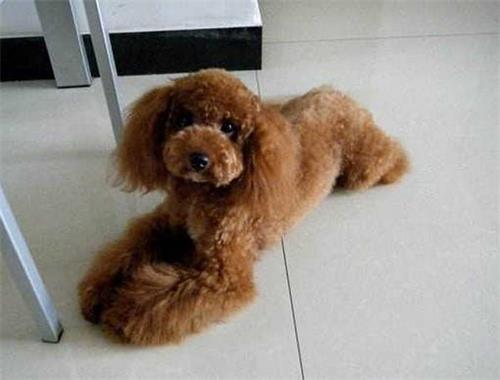 ������Ѫ��Ѫ��ʲôҩ��