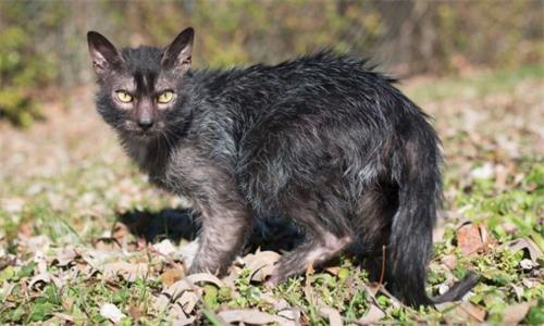 è��һ������Ӧ��˯�߼���Сʱ��