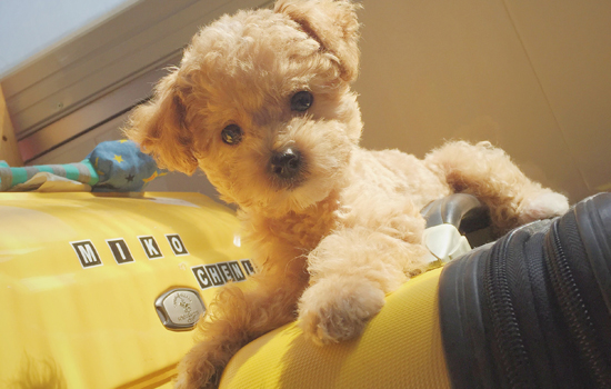 ��������������