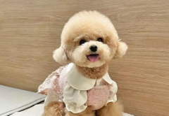 С����ͺ�ˮ��ԭ��