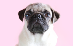 ������·��Ⱦ��ô�죿