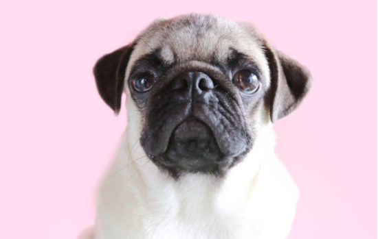 ������·��Ⱦ��ô�죿