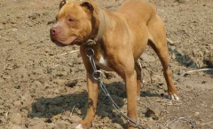 ι��������Ȯ�ķ���