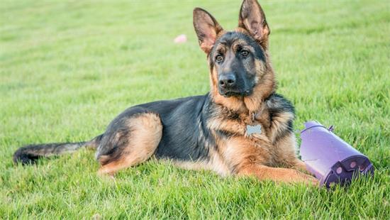 �������۾�����