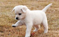 ��ͻȻ�����鴤�����°�ĭ����ô