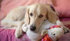 ��Ȯ���Զ�����Ż����ô��