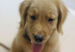 16����������ë������