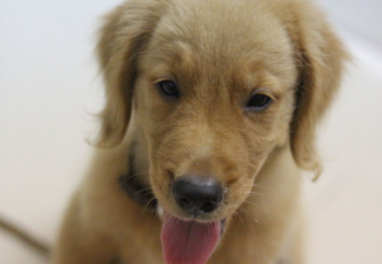 16����������ë������