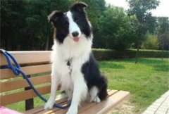 ����ѵ�������ķ�����ȫ