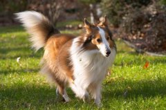 ���˹���Ҫ׼��ʲô��