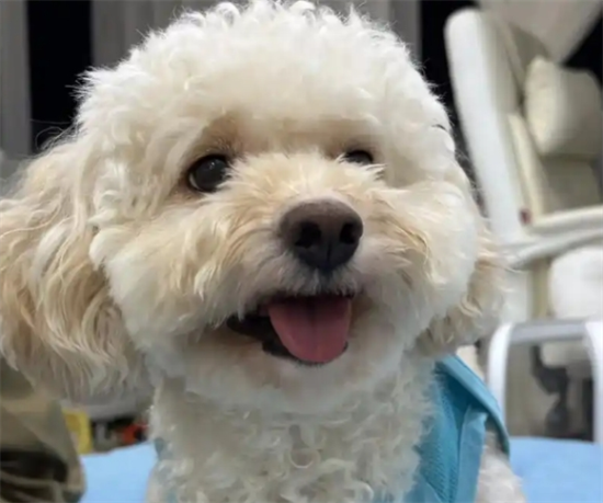 ̩�Ϲ�����ô��ָ��