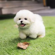 ����Ȯ���ݶ���Ǯ����ض����