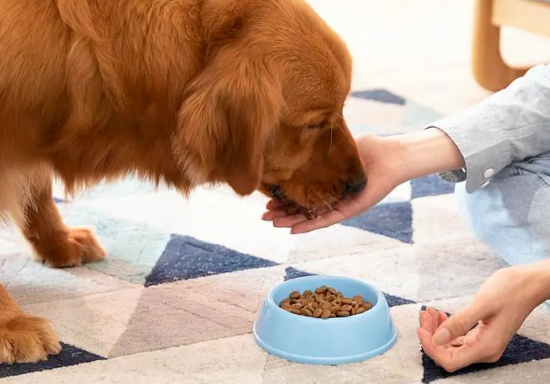 ��θ���ë��������