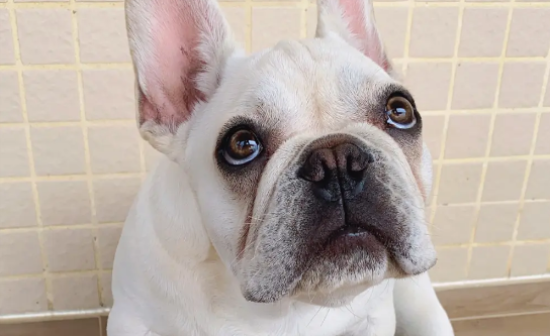 �����������ʲôԭ������ģ�