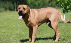 ��������Щ��Ȼϰ�ԣ�