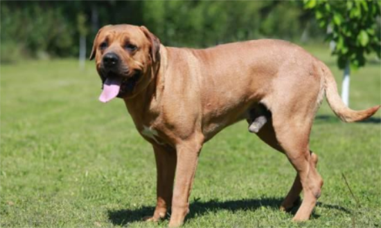 ��������Щ��Ȼϰ�ԣ�