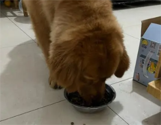 ���ʶ����ٽ�ë������