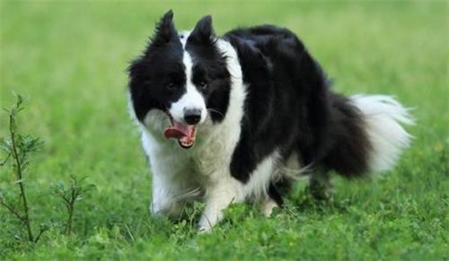 �����鴤�����°�ĭ����ô���£�