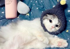 è�����ڼ����ʳ����