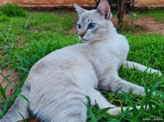 �����è��ɲ�����ϴ���أ�