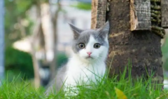 è��Ż�°�ĭ���Բ����ǳ�θ����