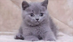 è������ˮ��ԭ����ʲô?