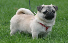 Ϊʲô�յ��ҵĹ�������������