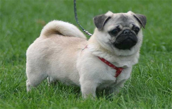 Ϊʲô�յ��ҵĹ�������������