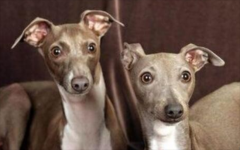 2���¹�����ð��������